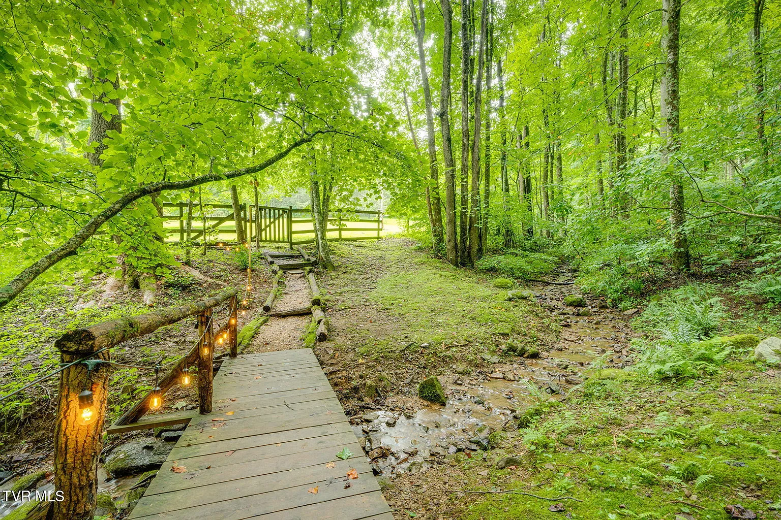 Creek and timber path at Misty Hollow